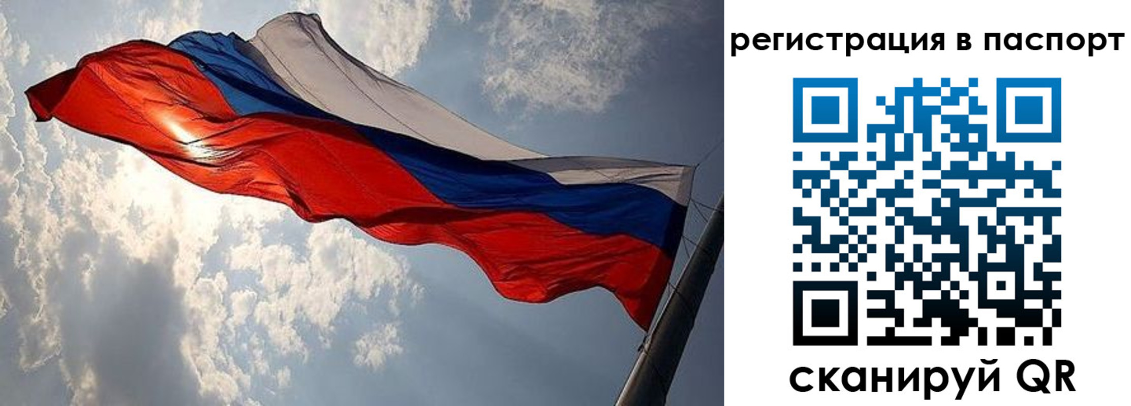 временная регистрация для всех в Брянской области